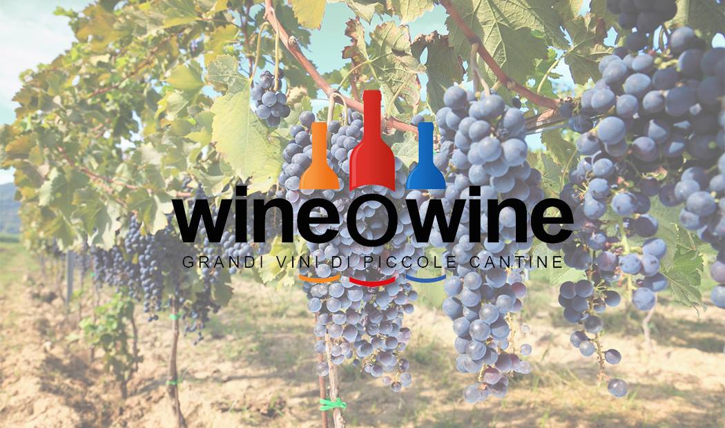 WineOwine – Un’idea vincente per promuovere i grandi vini delle piccole cantine